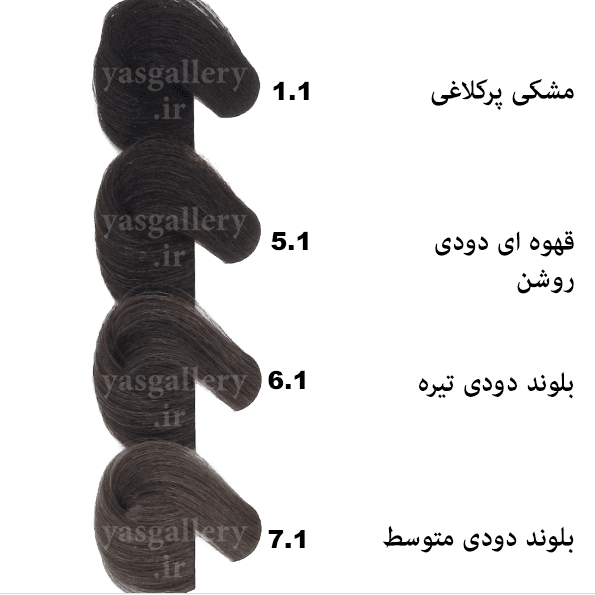 رنگ مو بیول بلوند دودی تیره (6.1) Dark Ash Blonde BIOL — تصویر ۲