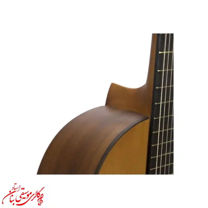 گیتار کلاسیک پارسی مدل M2 دسته دوم — تصویر ۹
