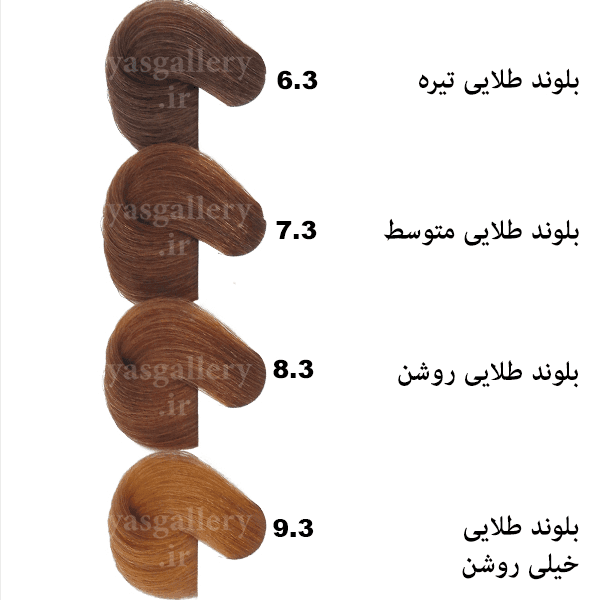 رنگ مو بیول بلوند طلایی روشن (8.3) Light Golden Blonde BIOL — تصویر ۴