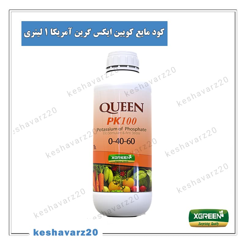 کود مایع کوئین ایکس گرین آمریکا 1 لیتری (Queen XGreen)