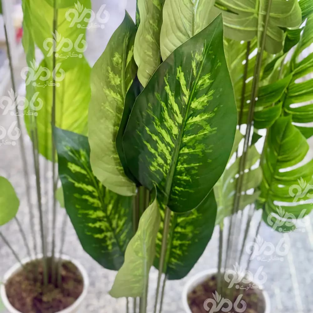 گل و گلدان کنارسالنی برگ کوچک — تصویر ۲