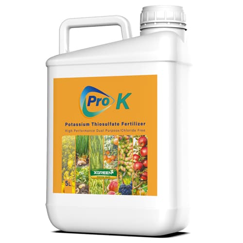 کود مایع پروکا برت ایکس گرین آمریکا 5 لیتری (Pro K XGreen) — تصویر ۲