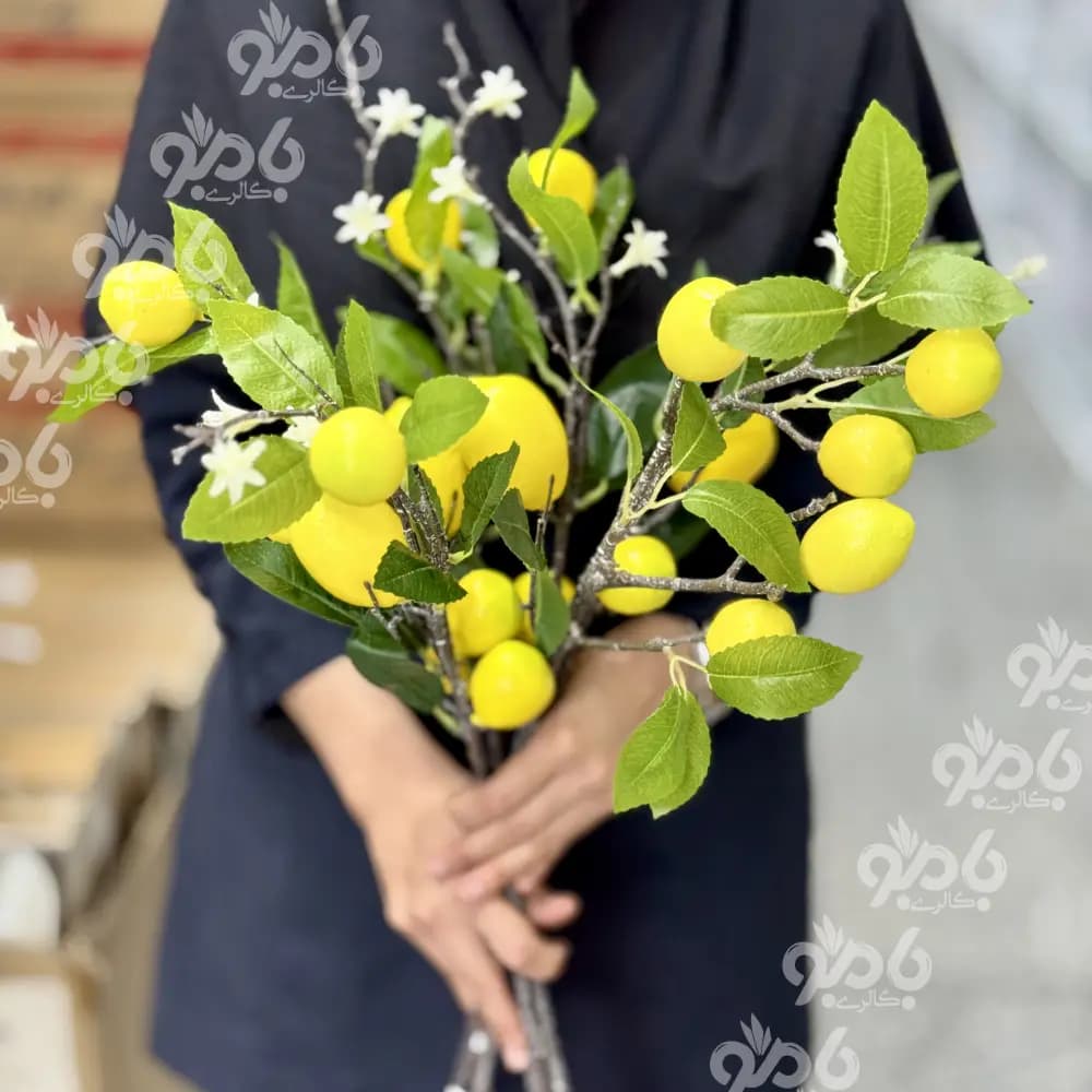 گل شاخه ای بوته لیمو وارداتی — تصویر ۳