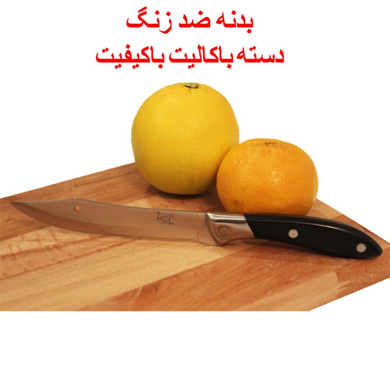 چاقو آشپزخانه استیل مدل شرقی خارجی و تیز مخصوص آشپزی — تصویر ۴