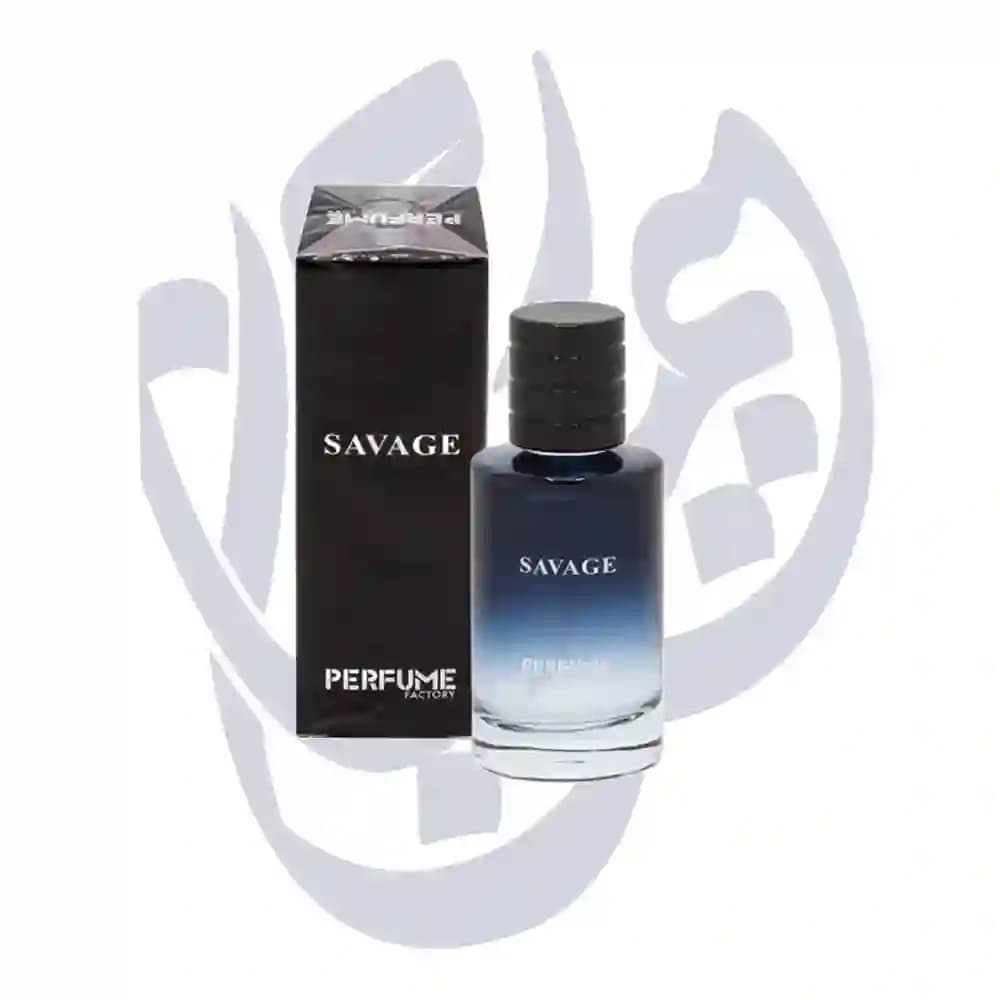 ادوپرفیوم زنانه پرفیوم فکتوری PERFUME FACTORY رایحه ساواج دیور حجم 30 میل SAUVAGE DIOR — تصویر ۲
