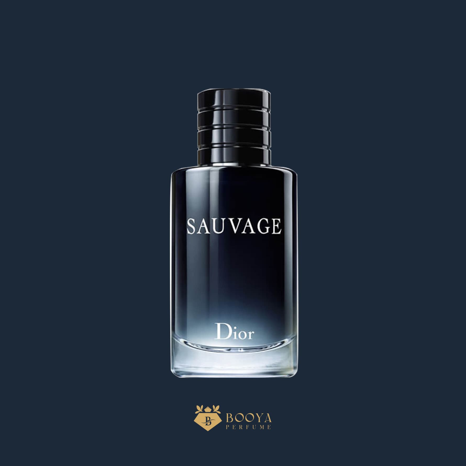 دیور ساوج (کریستین دیور ساواج) — تصویر ۳
