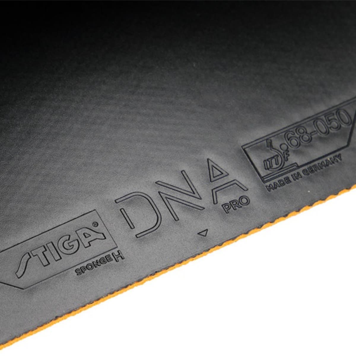 رویه استیگا DNA پرو H — تصویر ۶