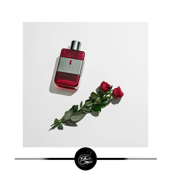 آنتونیو باندراس د سکرت تمپتشن — تصویر ۵
