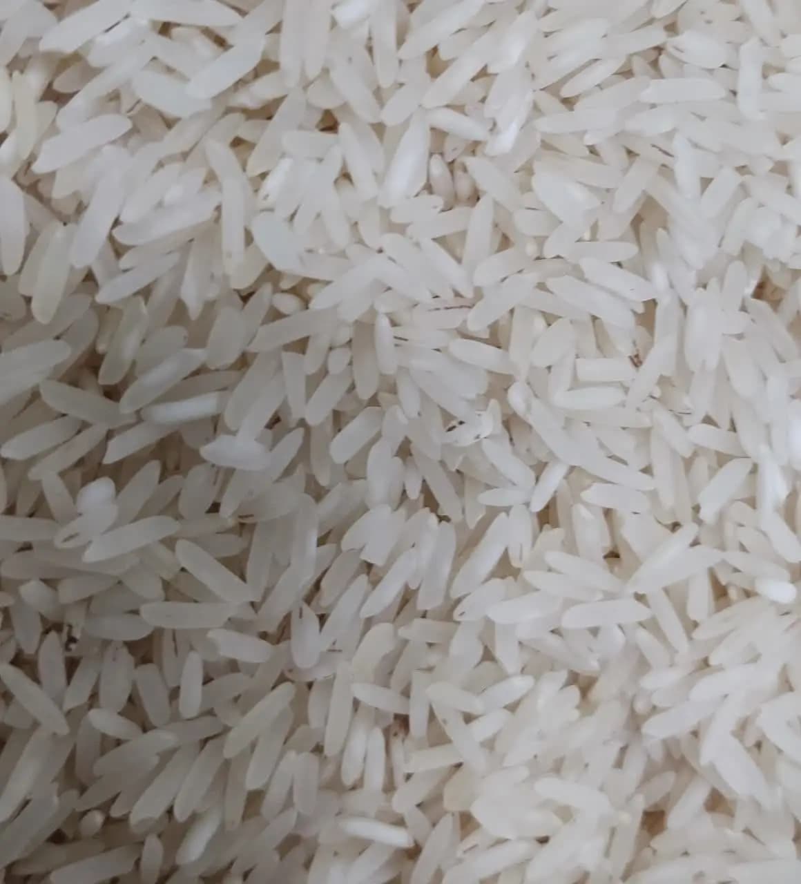 برنج طارم ضیغمی 10 کیلویی — تصویر ۲