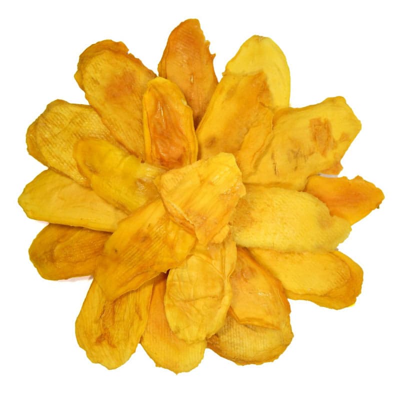 انبه خشک برگی
