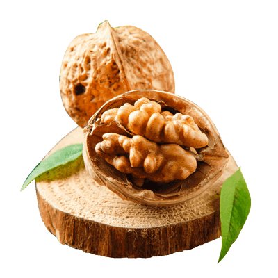 نهال گردو پیوندی ژنوتیپ تیپ 9
