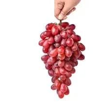 نهال انگور کریمسون سیدلس — تصویر ۲
