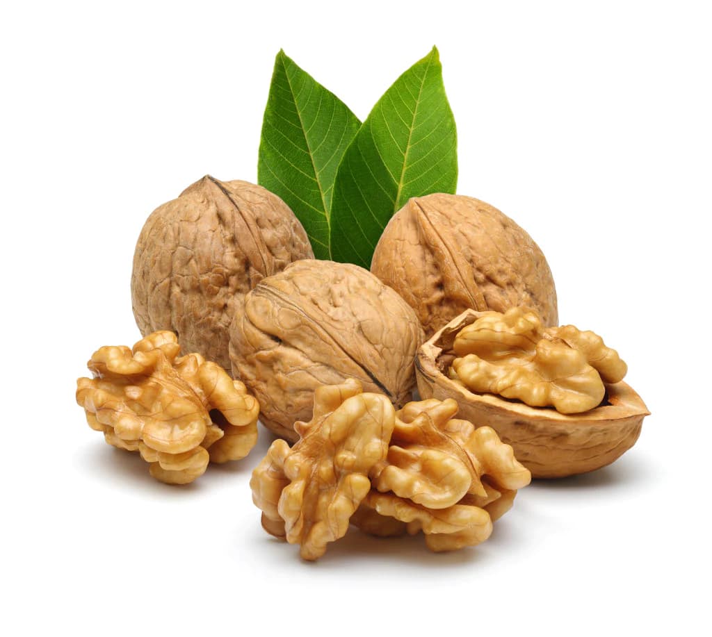 نهال گردو جمال z63