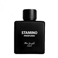 Stamino Profumo By Marc Joseph 100 ml ادکلن مردانه استامینو پروفومو از برند مارک جوزف — تصویر ۴