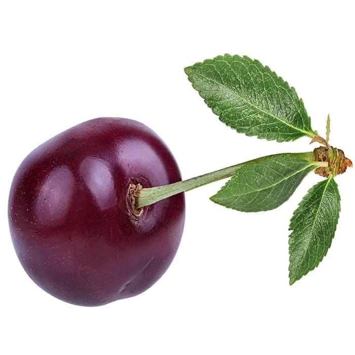 نهال گیلاس نوبل — تصویر ۲
