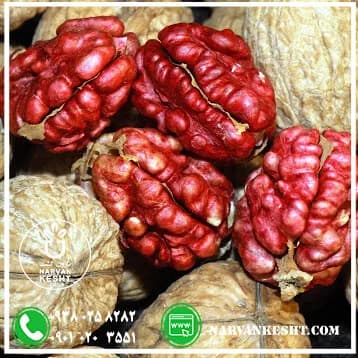نهال گردو تو سرخ — تصویر ۴