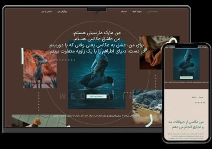 طراحی سایت رزومه و پرتفولیو عکاس و گرافیست – طرح شماره ۳۲۰۶