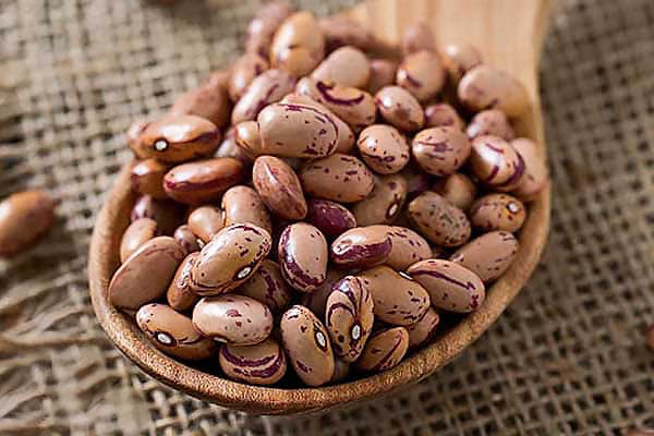 لوبیا چیتی تازه 110 — تصویر ۵