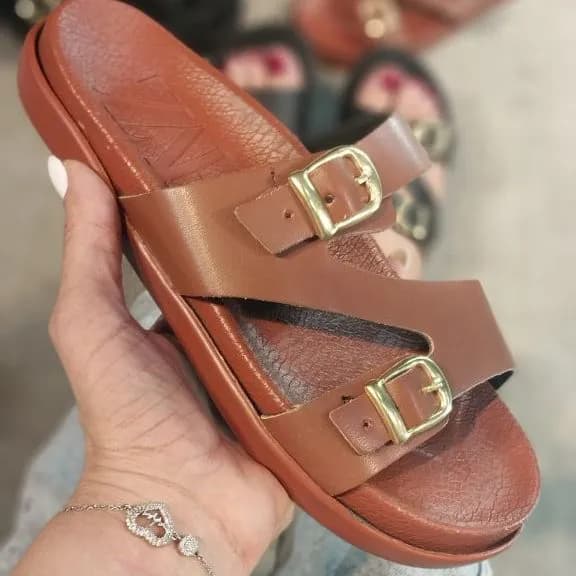 زاراضربدری ان(154) — تصویر ۳