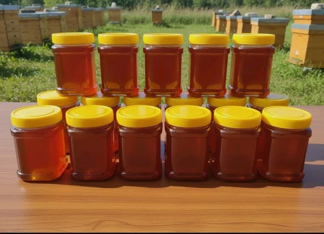 عسل شهد طبیعی کوهستان ممتاز – 500گرم خالص – ساکاروز زیر 1درصد و پرولین حدود 900