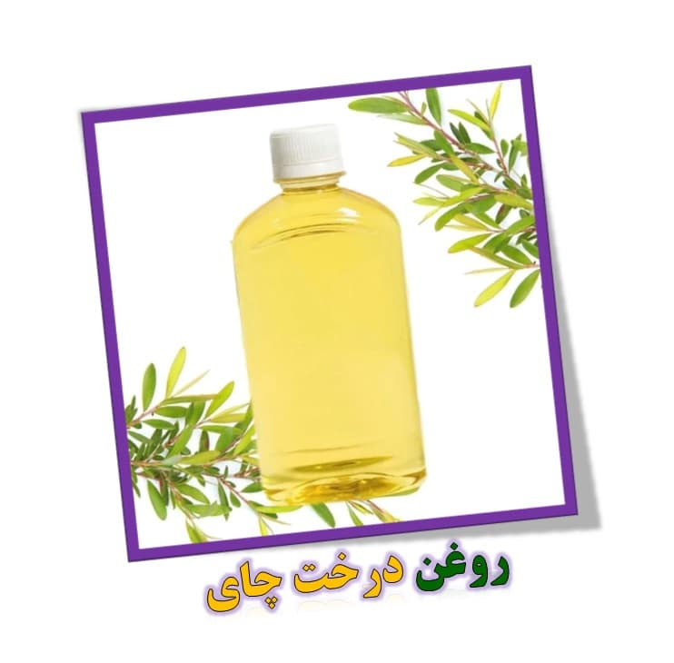 روغن درخت چای – 120سی سی