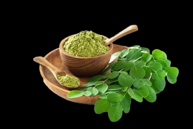 پودر مورینگا (بسته 100 گرمی) — تصویر ۸