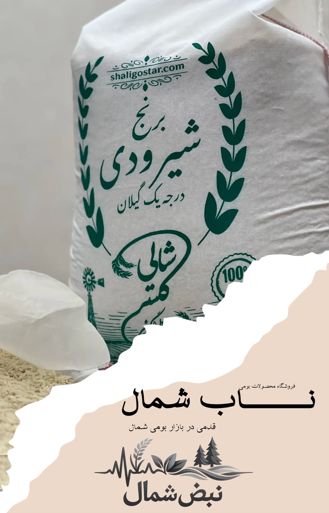برنج شیرودی درجه یک گیلان | الک خورده – 10 کیلویی — تصویر ۱۲