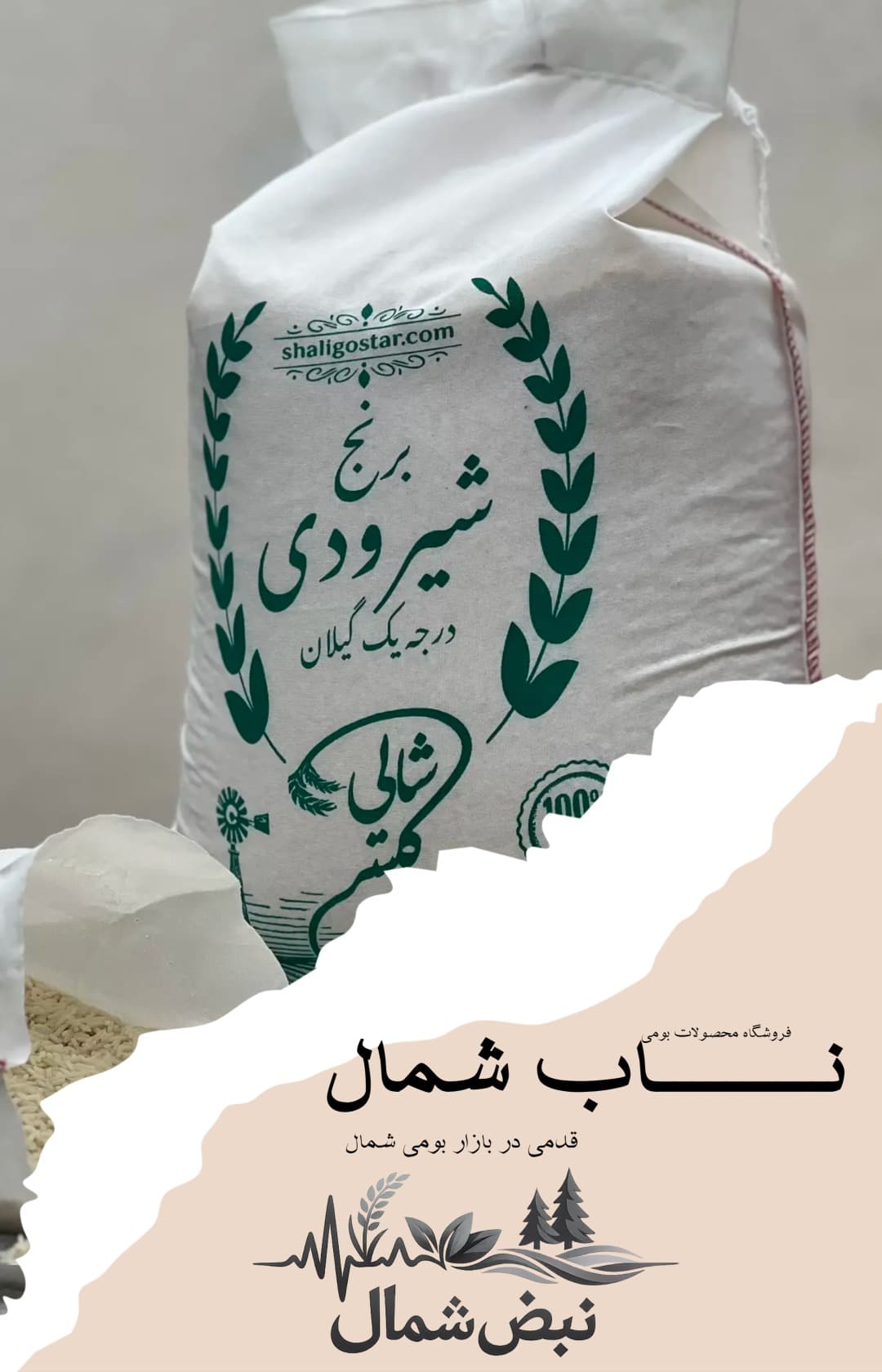 برنج شیرودی درجه یک گیلان | الک خورده – 10 کیلویی — تصویر ۷