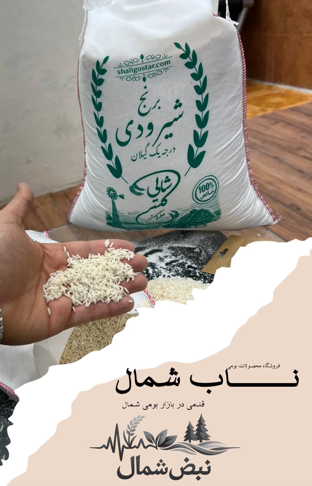 برنج شیرودی درجه یک گیلان | الک خورده – 10 کیلویی — تصویر ۱۱