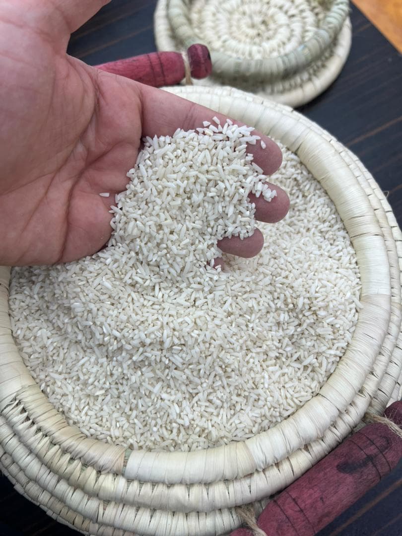 برنج لاشه درجه یک هاشمی گیلان – 10 کیلویی — تصویر ۱۲