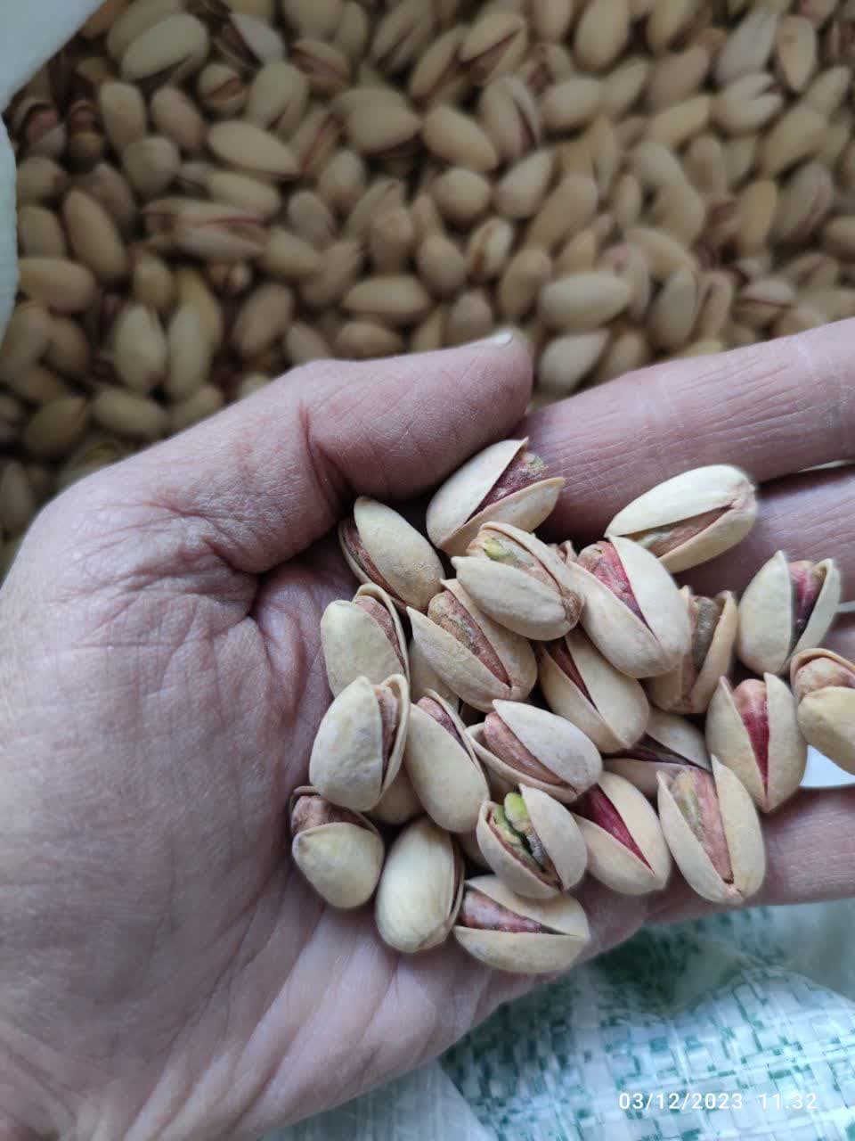 پسته اکبری نمکی درجه یک (ارسال رایگان) — تصویر ۴