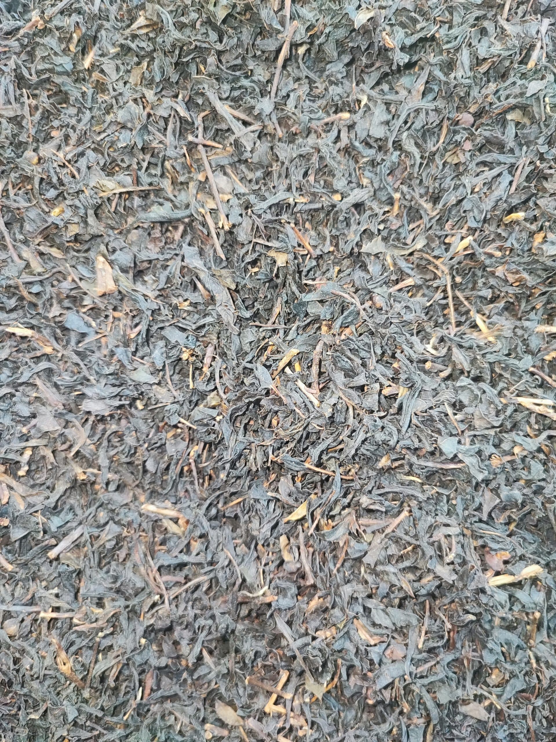چای شکسته بهاره سر گل سیاره — تصویر ۲