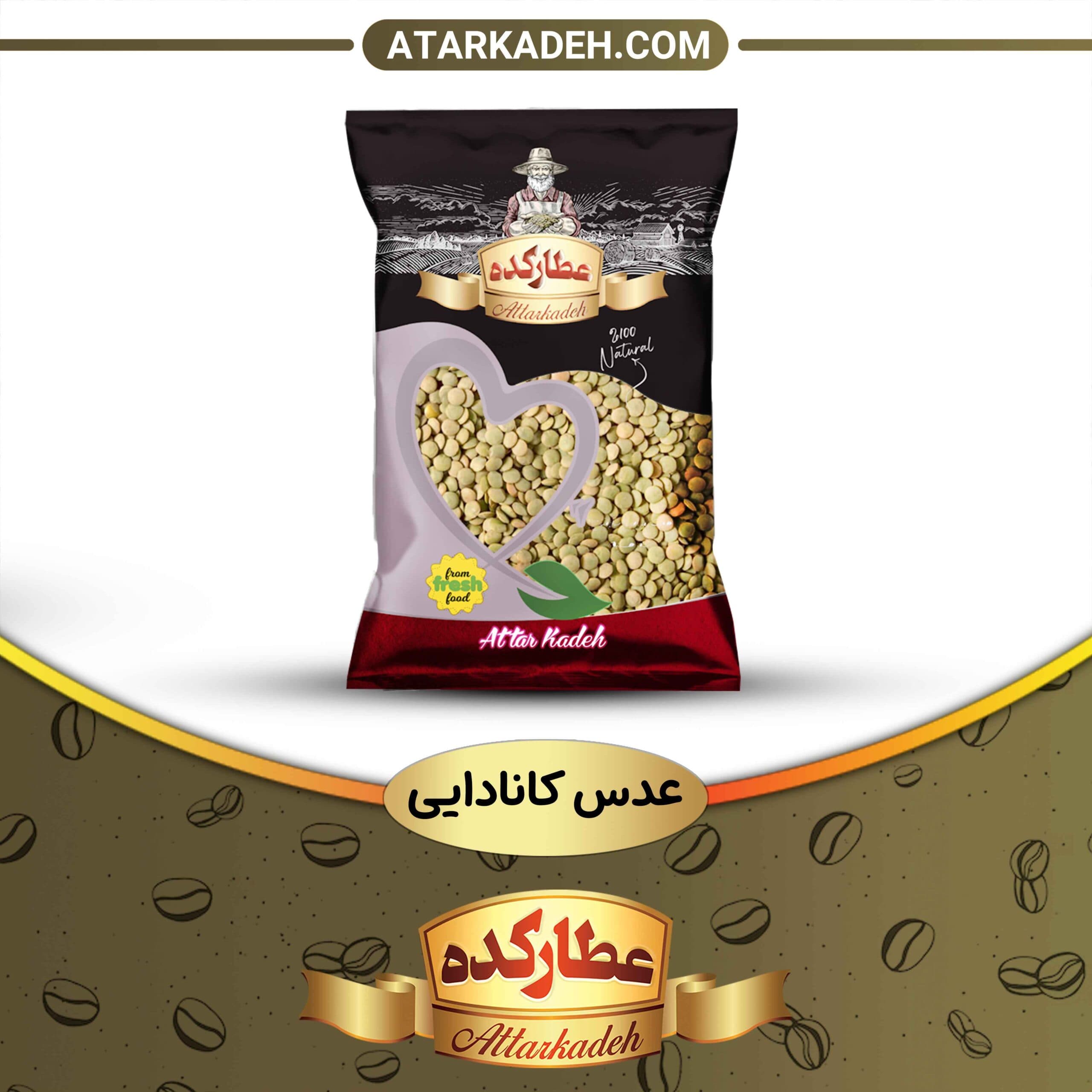 عدس کانادایی — تصویر ۸