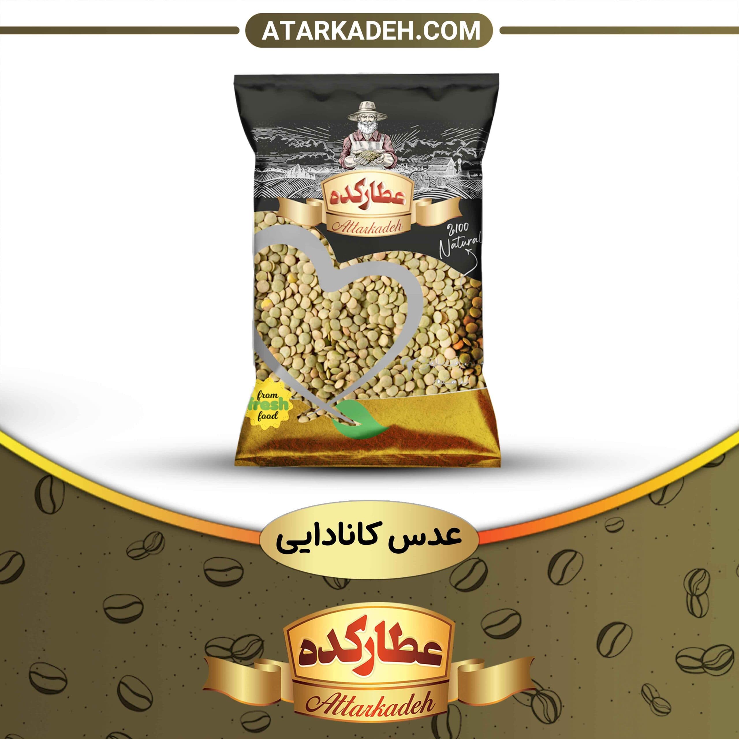 عدس کانادایی — تصویر ۳