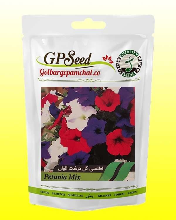 بذر اطلسی گل درشت الوان