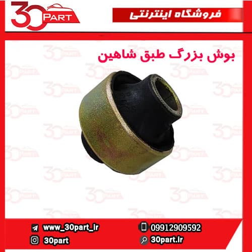بوش بزرگ طبق شاهین
