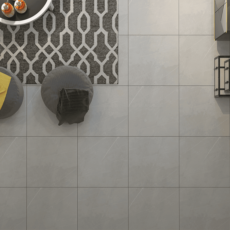ARION GRAY 60×60 | آریون خاکستری — تصویر ۵