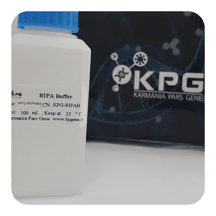 RIPA Buffer (Rnase/Dnase free) (100 ml) - کارمانیا پارس ژن