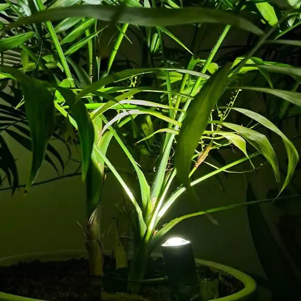 لامپ دکوراتیو ۱ وات لایت میژن با قابلیت کاشت در خاک pipe light hn1 — تصویر ۶