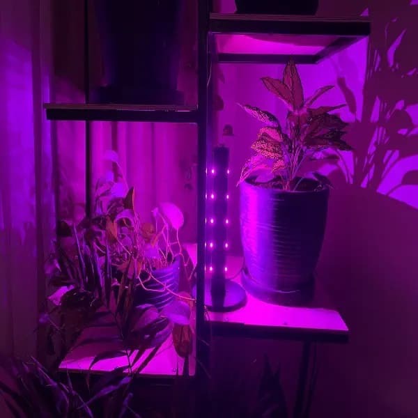 لامپ رشد گیاه لایت میژن مدل SunWar Mini 10W | چراغ رشد گیاه فول اسپکتروم رومیزی و ایستاده — تصویر ۶