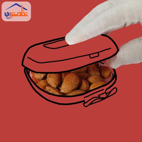 باکس نگهدارنده زیباسازان سایز 1 — تصویر ۷