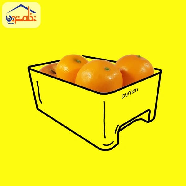 باکس نظم دهنده شفاف هیوا کوچک — تصویر ۲