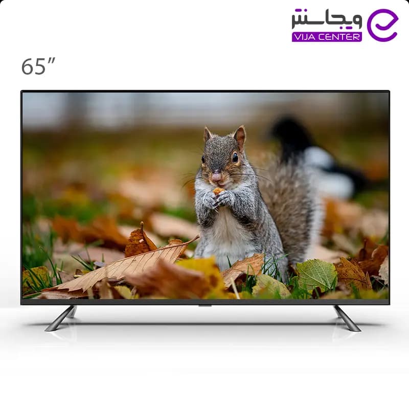 تلویزیون هوشمند دوو مدل 65DM4000 — تصویر ۶