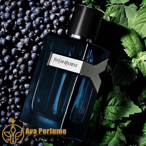 عطر ادکلن ایو سن لورن وای ادو پرفیوم | Yves Saint Laurent Y Eau de Parfum — تصویر ۸