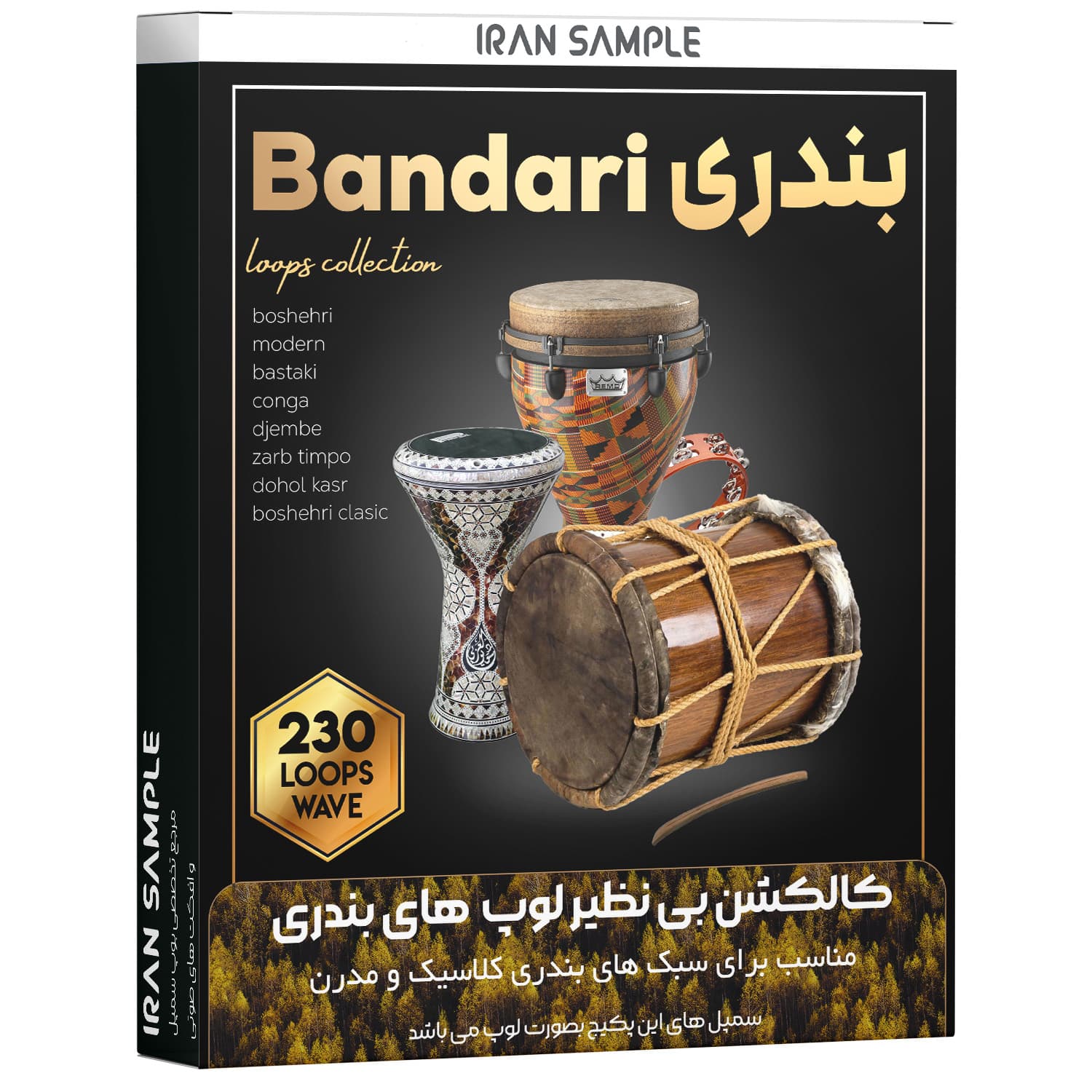مجموعه ریتم و لوپ بندری Bandari loops — تصویر ۲