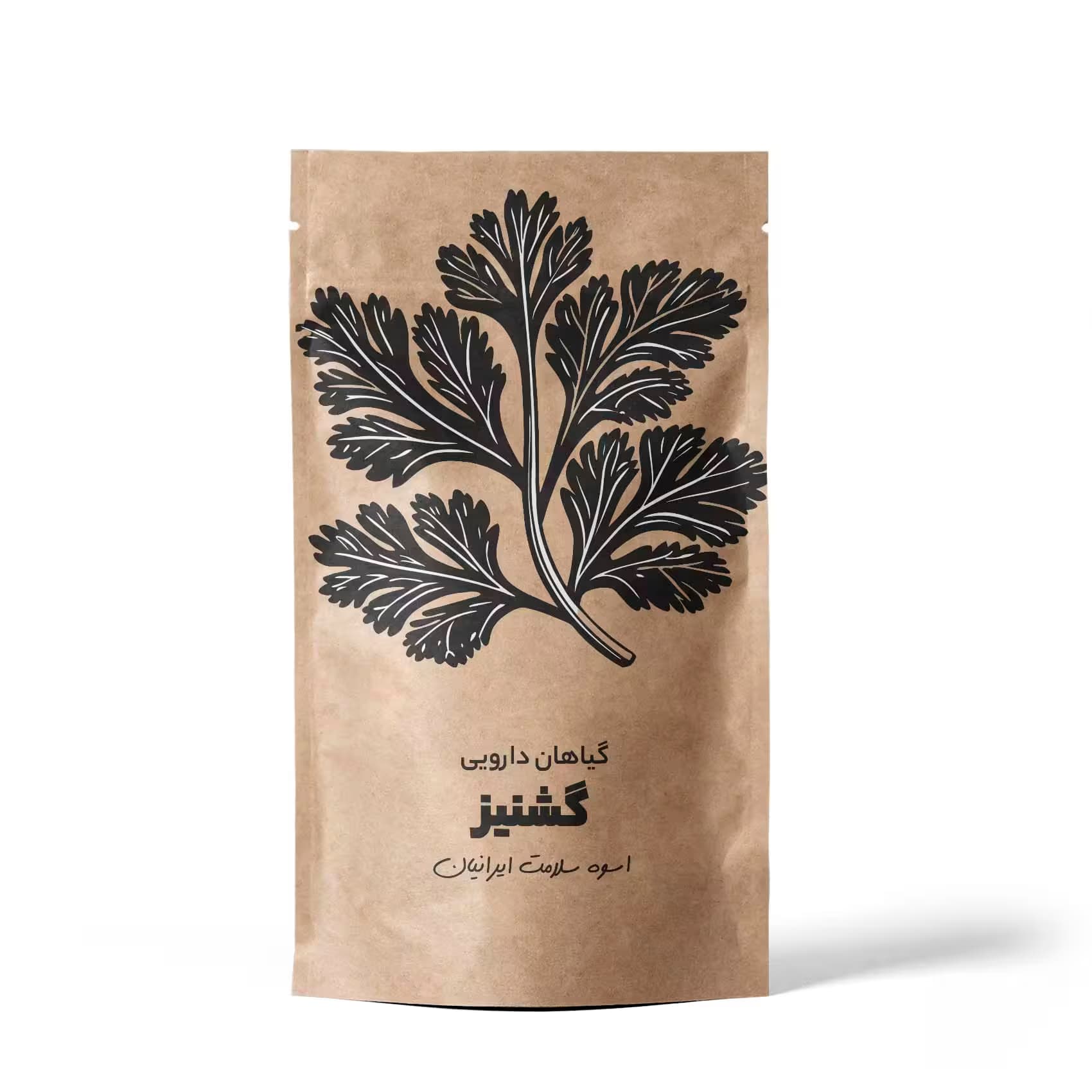 گیاه دارویی گشنیز