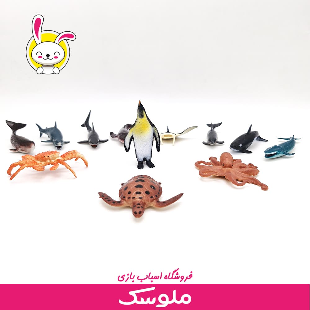 فیگور آبزیان — تصویر ۶