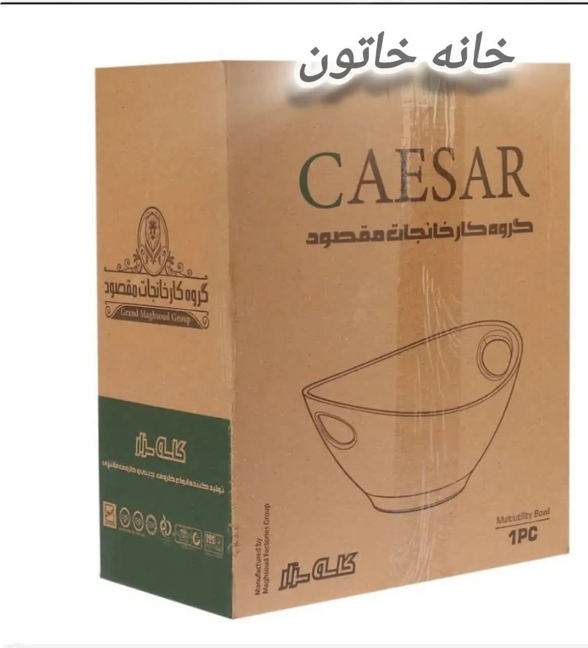 کاسه سالاد و میوه سزار چینی مقصود لب طلا — تصویر ۸