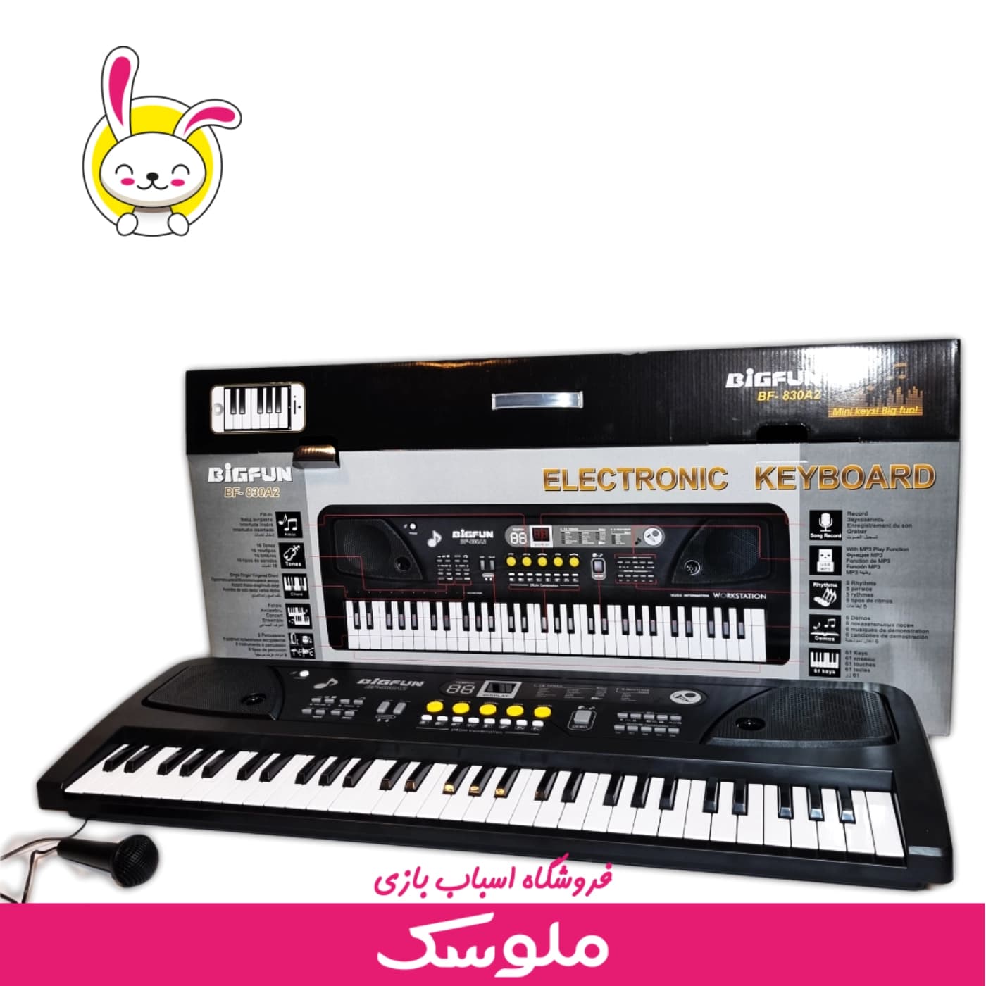 اسباب بازی ارگ بیگفان 830A