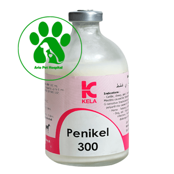 ویال تزریقی آنتی بیوتیک پنی کل PENIKEL